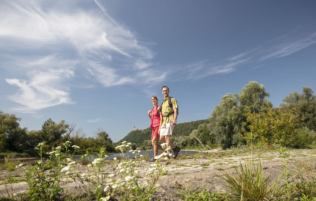 Wandern von Kirchroth bis Bogen  © Tourismusverband Ostbayern e.V., Fotograf Stefan Gruber