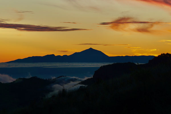 Workation Maspalomas