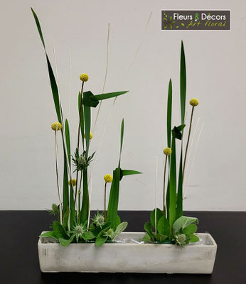 Stage du 16 mail 2024- Fleurs et Décors