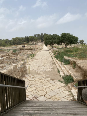 ThP 230603 Israël - Tzippori - De decumanus, lopend van oost naar west, uit de Romeinse tijd.