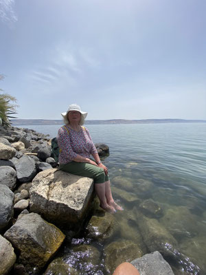 Aad 230601 Israël - Capharnaum - Thea-Warrior zoekt verkoeling in het Meer van Galilea.