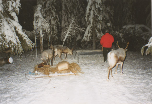 Rendieren voeren bij Laïla Spik - 3 januari 2001 - Op de rug gezien haar echtgenoot.