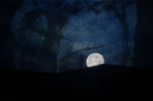 Mondmurmelnacht