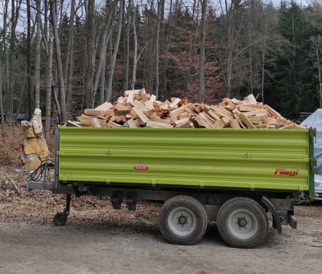 Traktorkipper mit Buchenbrennholz 