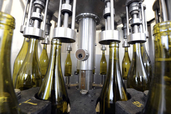 domaine du croc du merle mis en bouteille vin cheverny loire route des vins chateaux