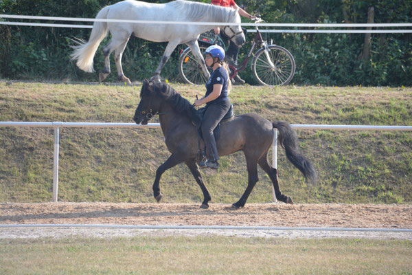 Sophie et Stirnir