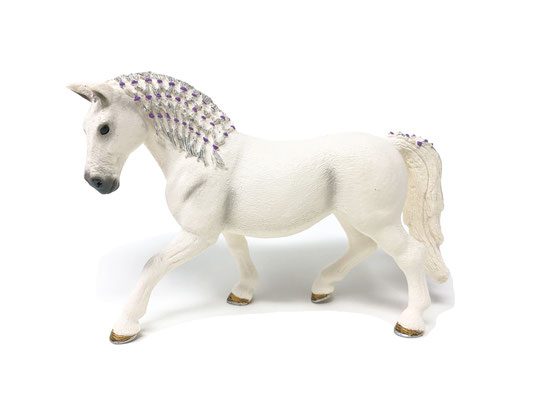 13819 Lipizzaner Stute 2017-2025