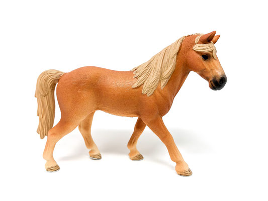 13833 Tennessee Walker Stute 2017-2026
