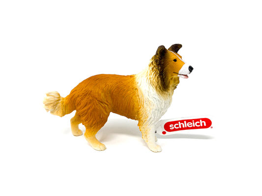 13998 Collie 2025