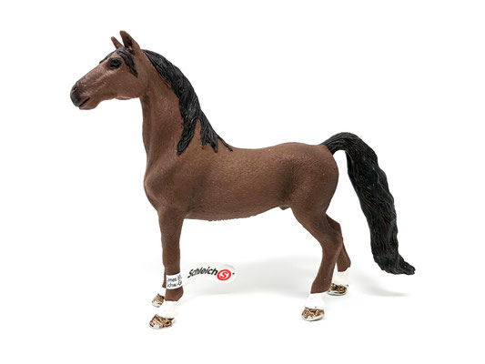 13913 American Saddlebred Wallach 2020-2026