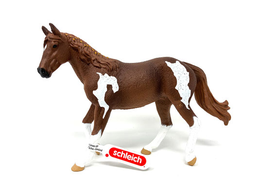 (14901) Paint Horse Stute