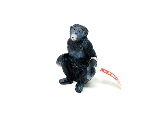 14875 Bonobo Weibchen 2024-2026
