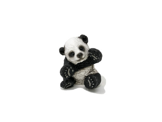 14734 Panda Junges, spielend 2015-2025