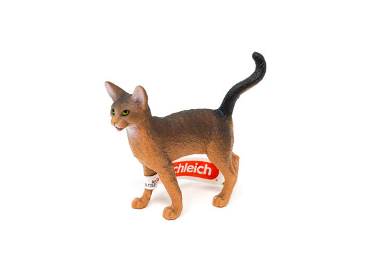 13964 Abessinierkatze 2023-2026