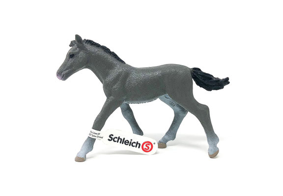 13944 Trakehner Fohlen 2022-2026
