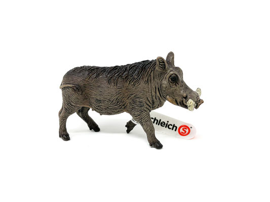 14843 Warzenschwein 2021-2025