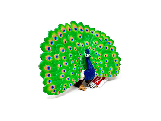 14926 Pfau Neuheit 2026
