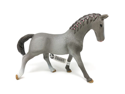 13888 Trakehner Stute 2019-2025