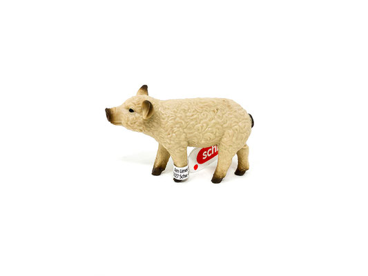 (14893) Wollschwein Ferkel