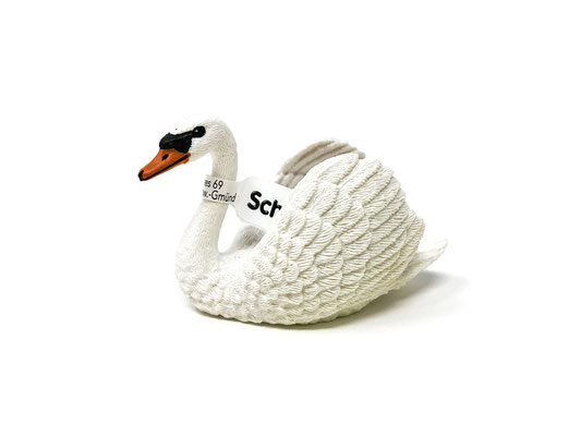 (13921) Schwan 2021-2025