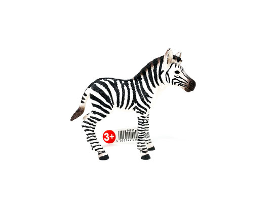14811 Zebra Fohlen 2018-2025