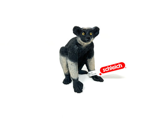 14877 Indri 2025