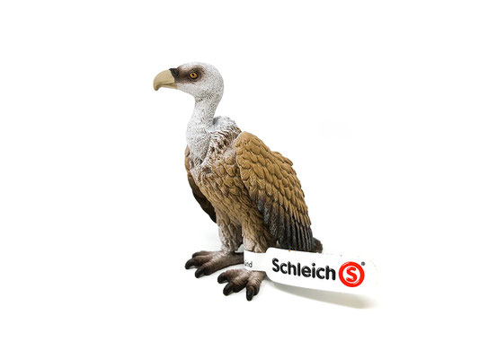 14847 Geier 2021-2025