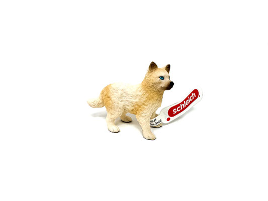 14881 Polarwolf Welpe
