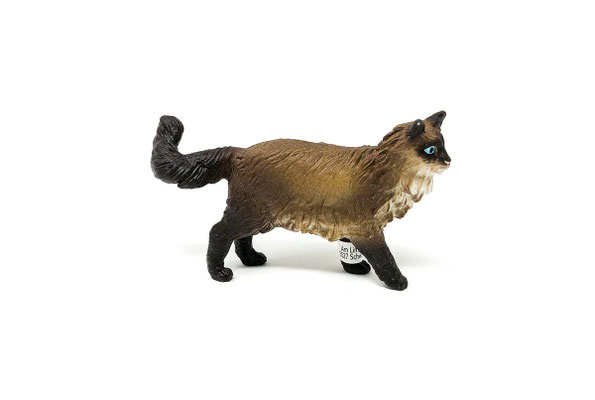 13940 Ragdoll Katze 2022-2026