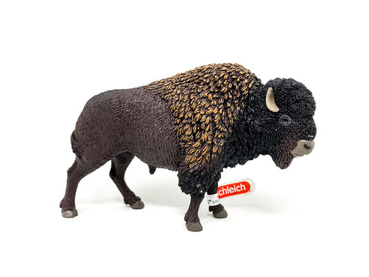 14879 Bison 2025