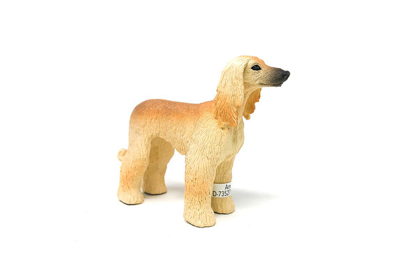 13938 Windhund 2022-2026