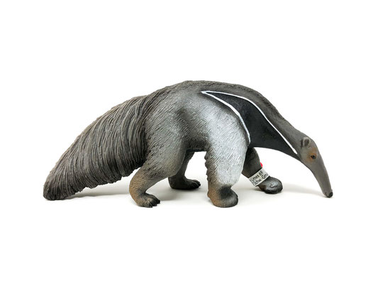 14844 Ameisenbär 2021-2025