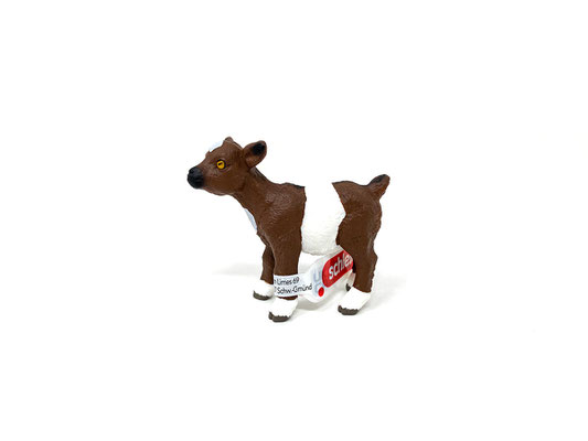 (14888) Zicklein