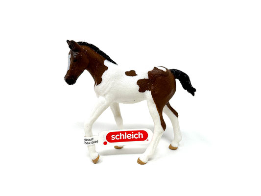 (14899) Paint Horse Fohlen