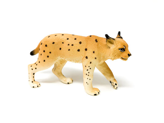 14822 Luchs 2019-2025
