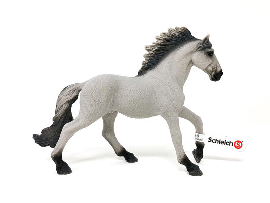 13915 Sorraia Mustang Hengst 2021-2026
