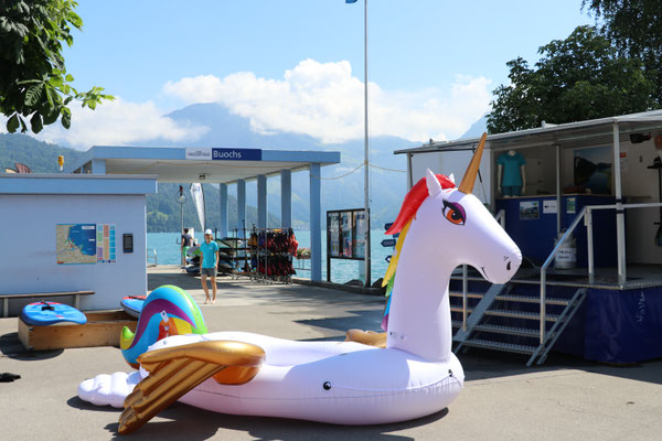 Schwimmende Einhorn-Insel auf dem Vierwaldstättersee