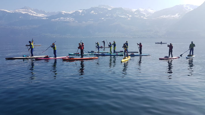 Gemeinsame *happy paddling SUP Tour auf dem Vierwaldstättersee