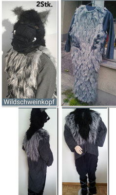 Wildschwein /Tiere