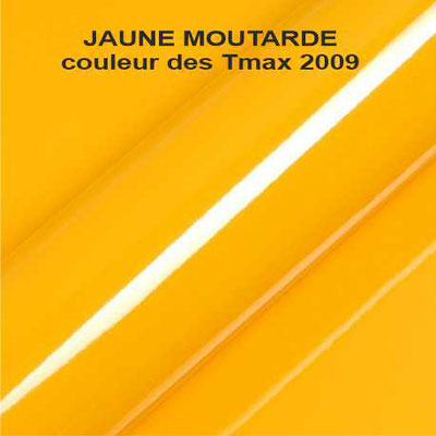 Jaune moutarde des 2009