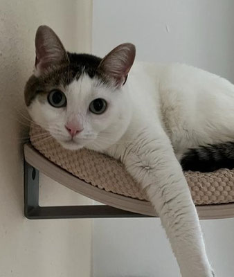 Leeloo