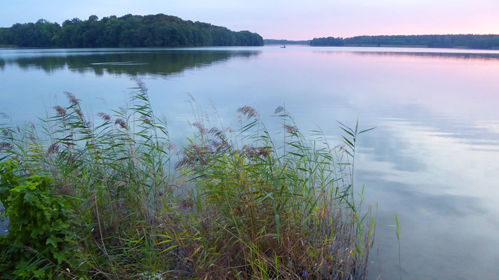 Dobbertiner See