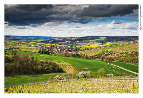 Chitry le Fort - Yonne © Nicolas GIRAUD