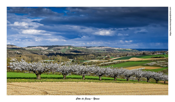 Jussy - Yonne © Nicolas GIRAUD