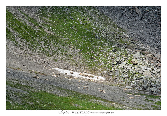 Col de la Valette - P.N.E. © Nicolas GIRAUD