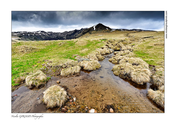 Réserve de la Fontaine Saléée - Auvergne © Nicolas GIRAUD