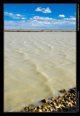 Camargue © Nicolas GIRAUD