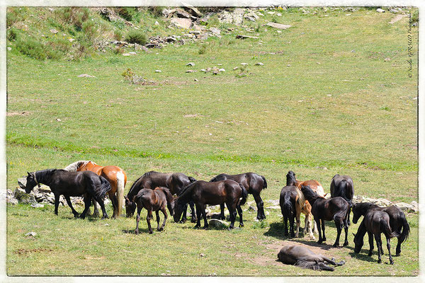 Passet - Pyrénées Orientales © Nicolas GIRAUD