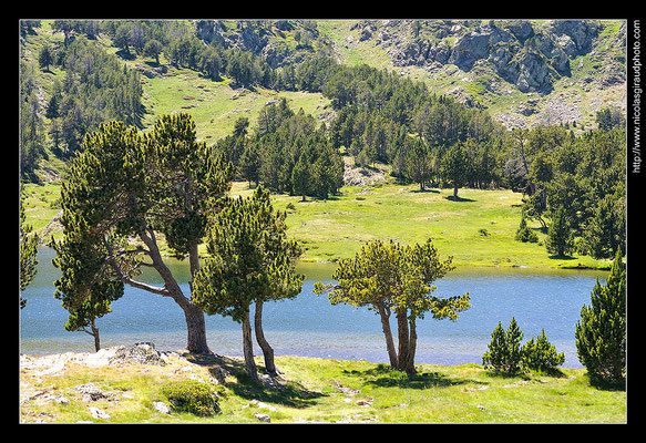 Site des Camporells - Pyrénées Orientales © Nicolas GIRAUD