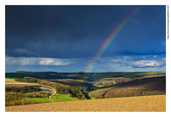 Paysage Icaunais © Nicolas GIRAUD